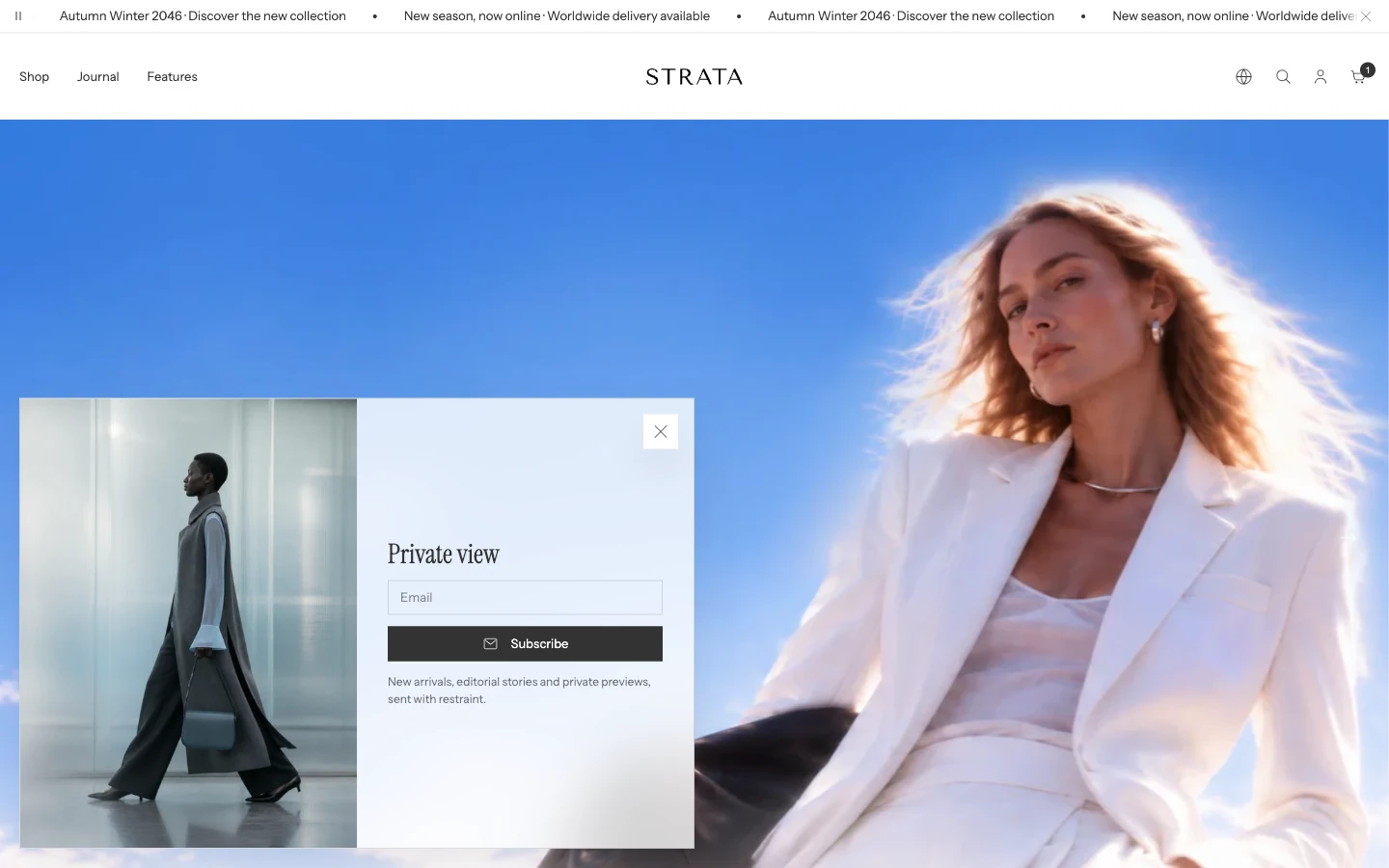 A Newsletter popup in the lower-left corner of the home page.
