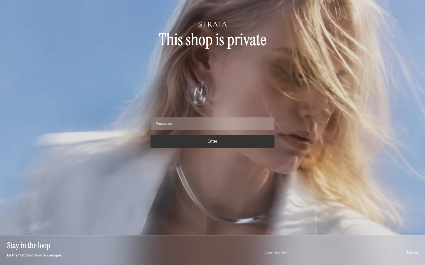 The password page with a full-screen image, the store name and the heading This shop is private above a password field and Enter button, and an email signup row at the bottom.