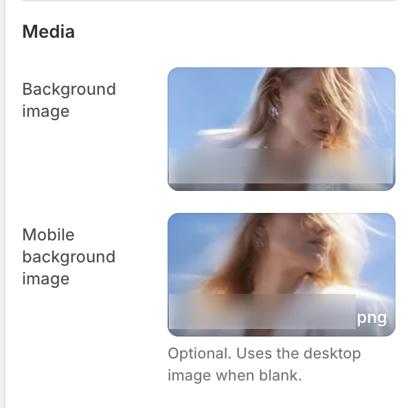 Password Media settings in the Theme Editor: Background image, Mobile background image.